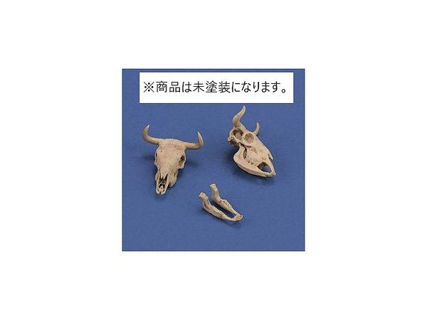 1/35 ジオラマアクセサリー 牛の頭骨
