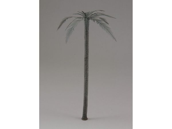 1/48 Palm
