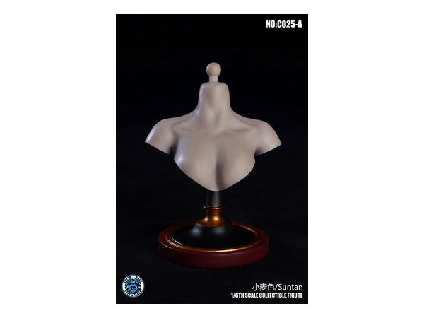 1/6 女性胸像 A (タン)