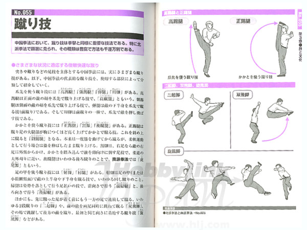 図解 中国武術