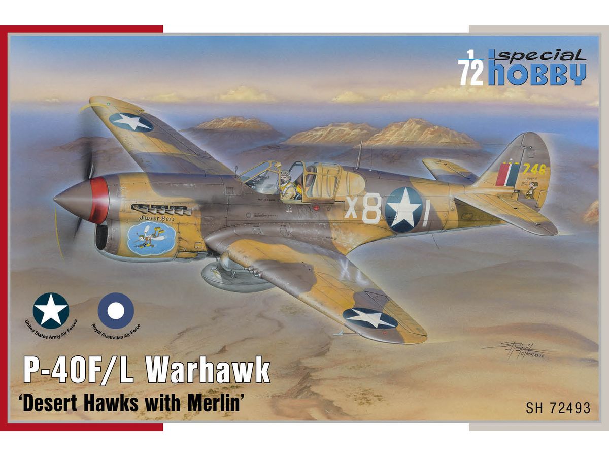 1/72 P-40F/L ウォーホーク マーリンエンジン搭載ホーク