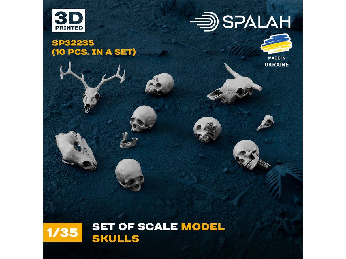 1/35 頭蓋骨セット (5種・10個入)