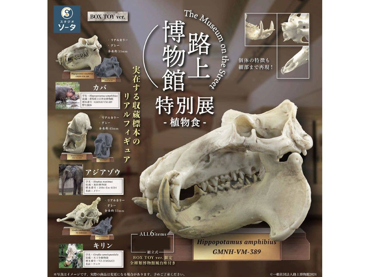 上の空怪獣ボー3 1Box 6pcs | HLJ.co.jp