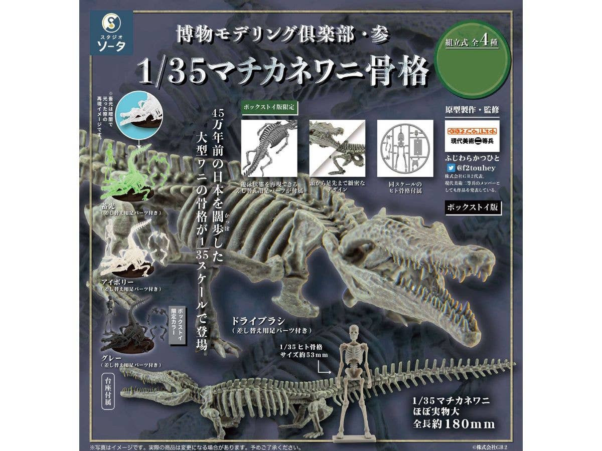 1/35 博物モデリング倶楽部・参 マチカネワニ骨格 1Box 4pcs