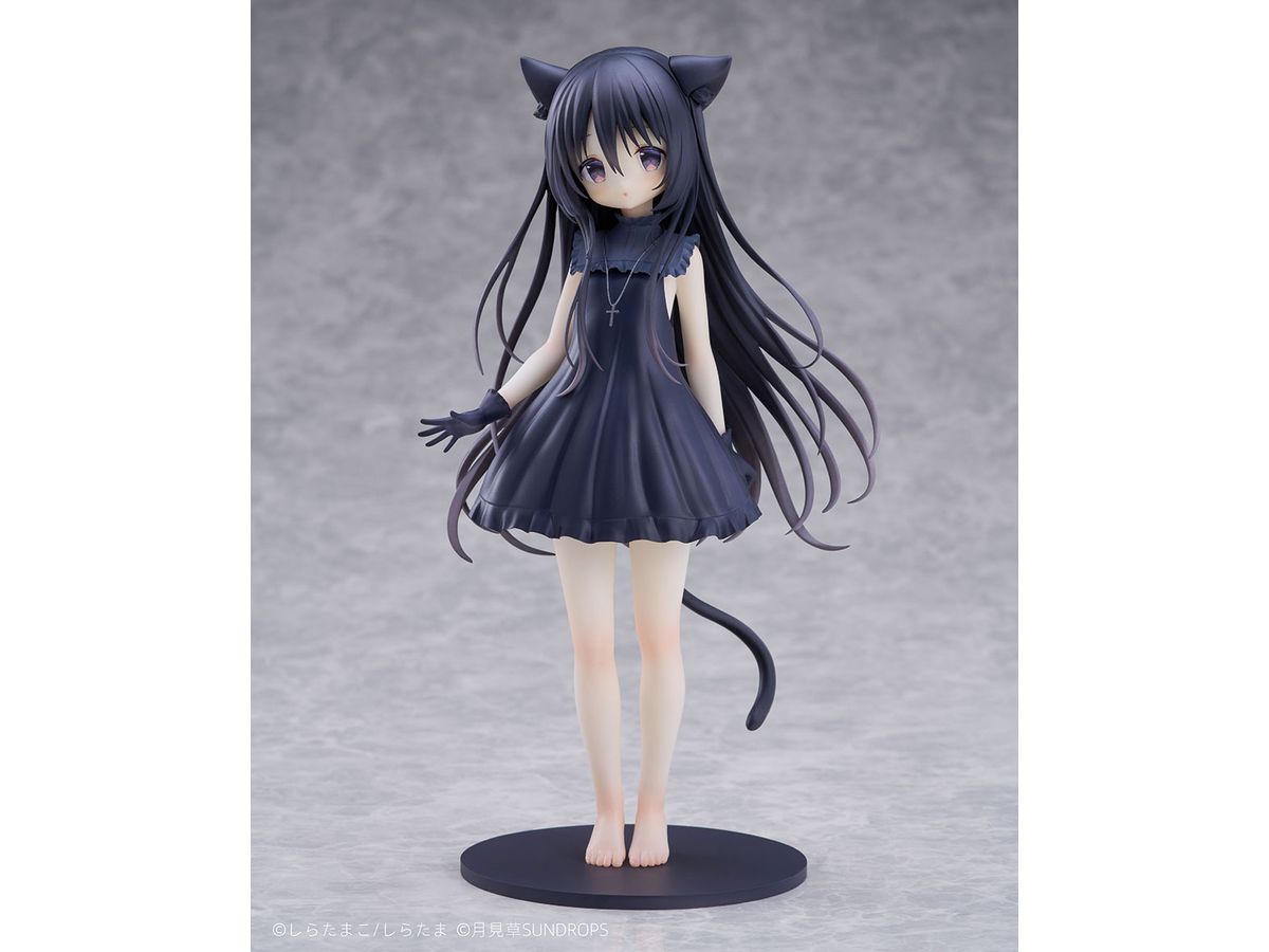 1/7 星空鉄道とシロの旅 ノワール
