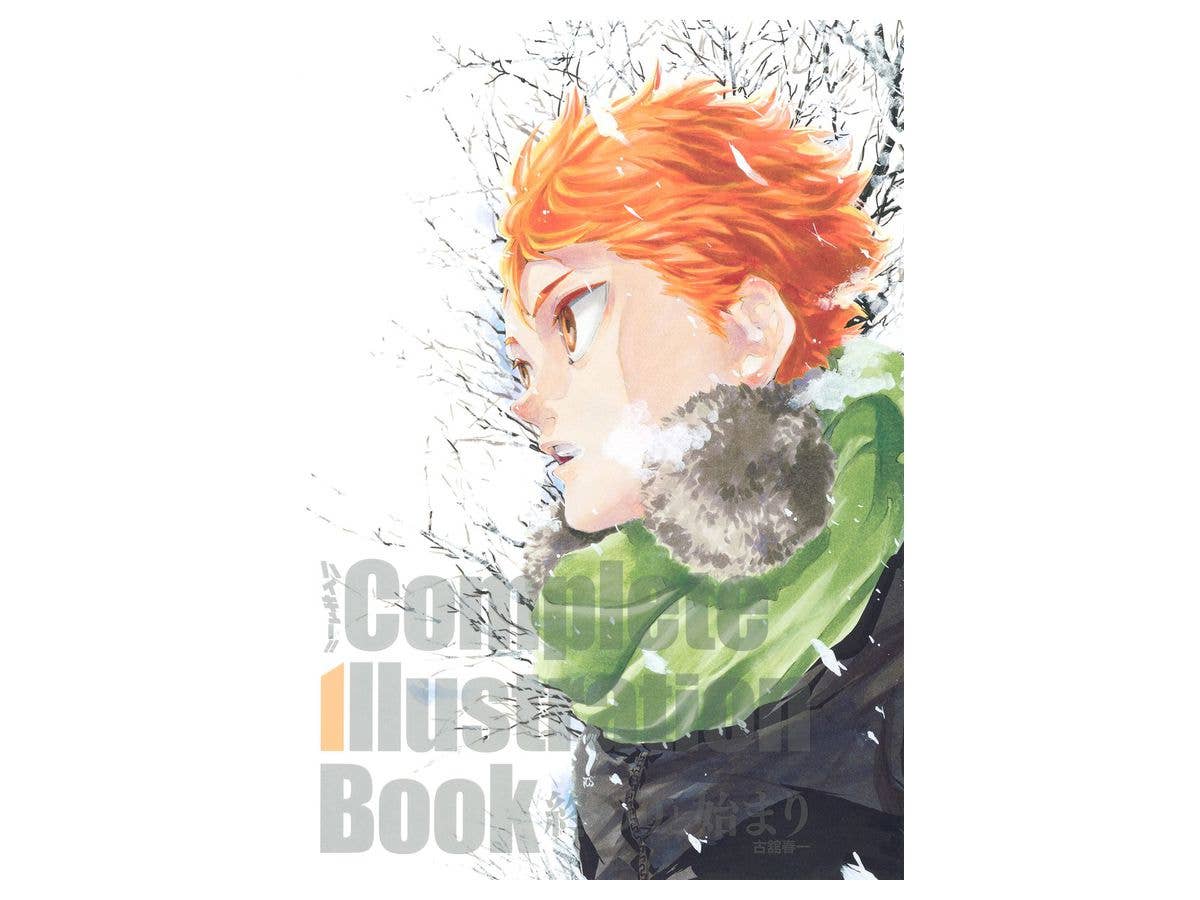 ハイキュー!! Complete Illustration book 終わりと… ハイキュー!! Complete Illustration book 終わりと始まり (愛蔵