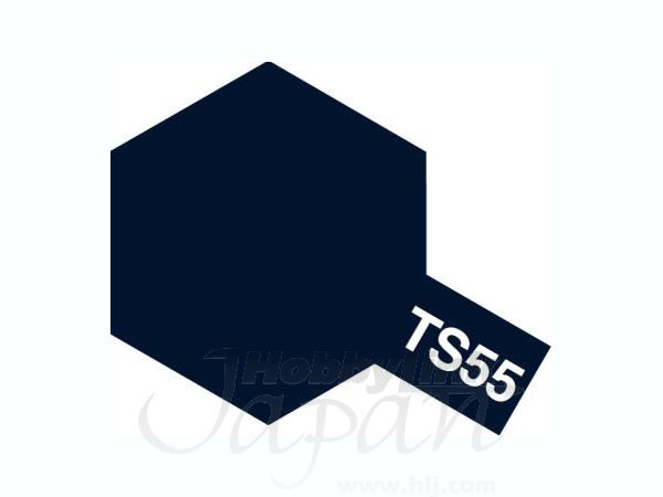 TS-55 ダークブルー