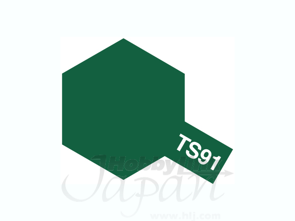 TS-91 濃緑色 (陸上自衛隊)