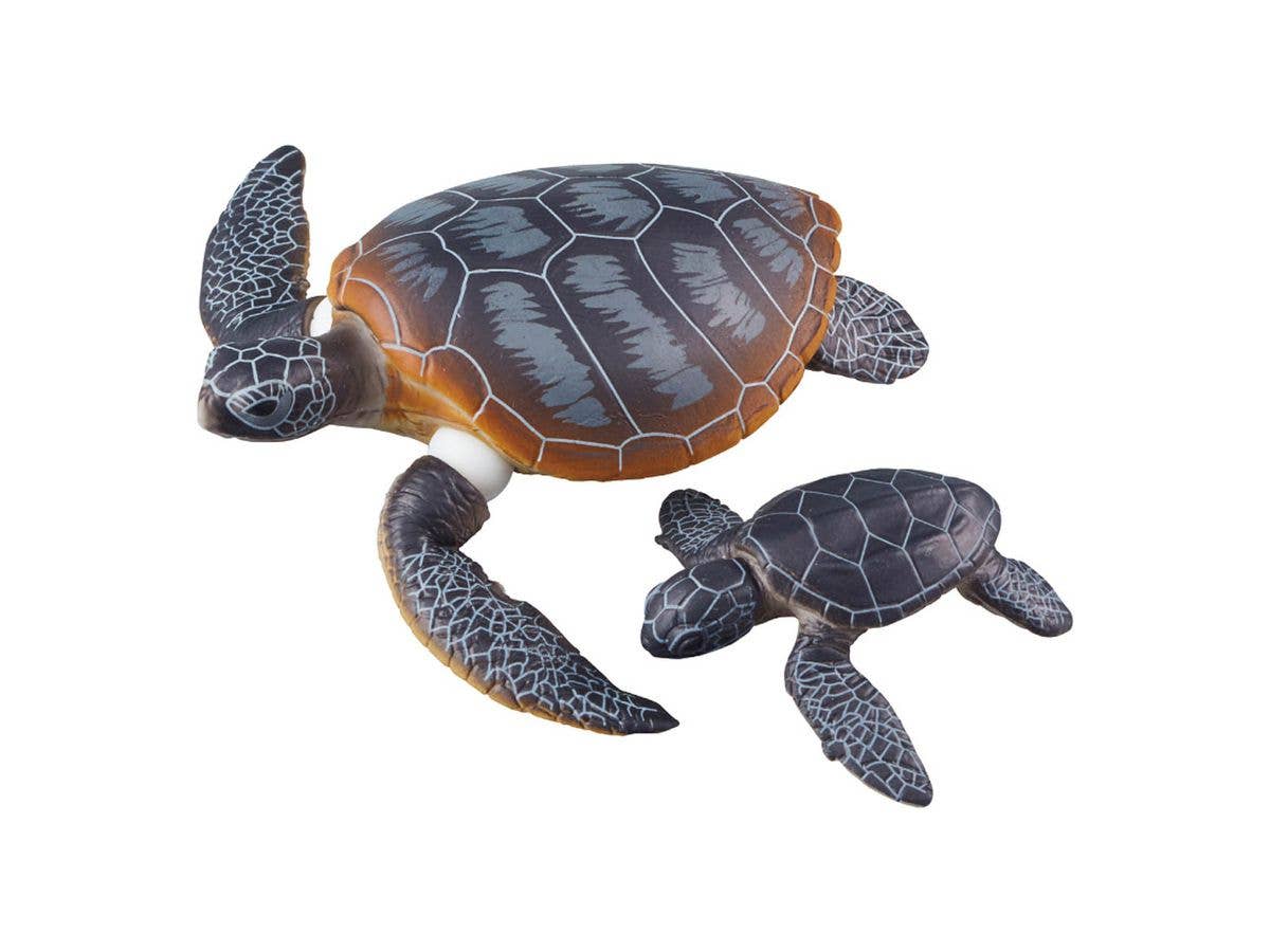 アニア AS-20 アオウミガメ親子(水に浮くVer.)