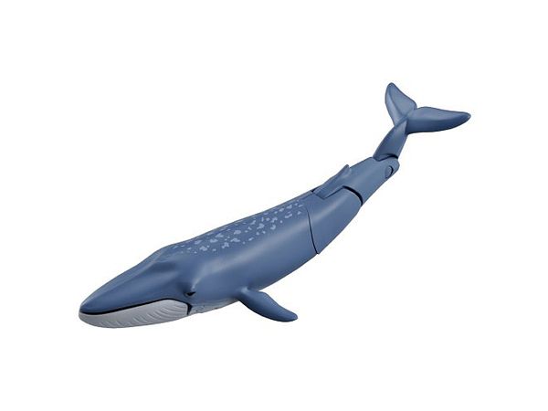 アニア AL-23 シロナガスクジラ (水に浮くVer.)