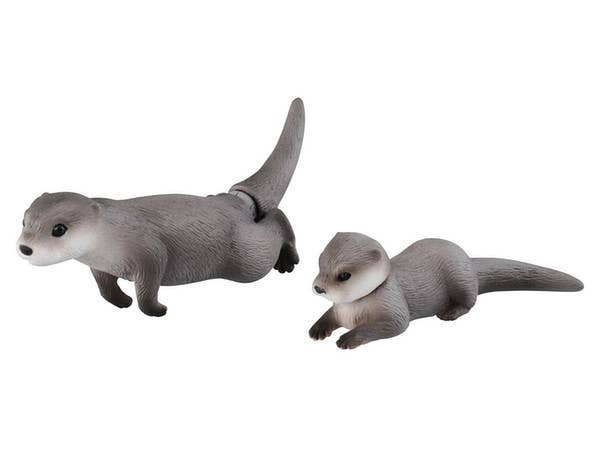 チャックスGP XL 脱グルーミー: B アルビノ | HLJ.co.jp