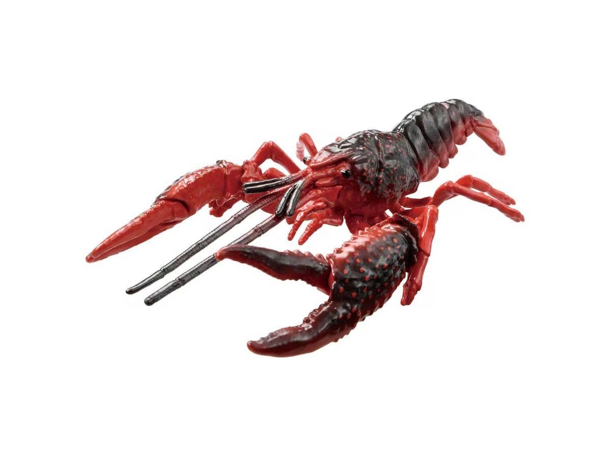 アニア AL-31 アメリカザリガニ