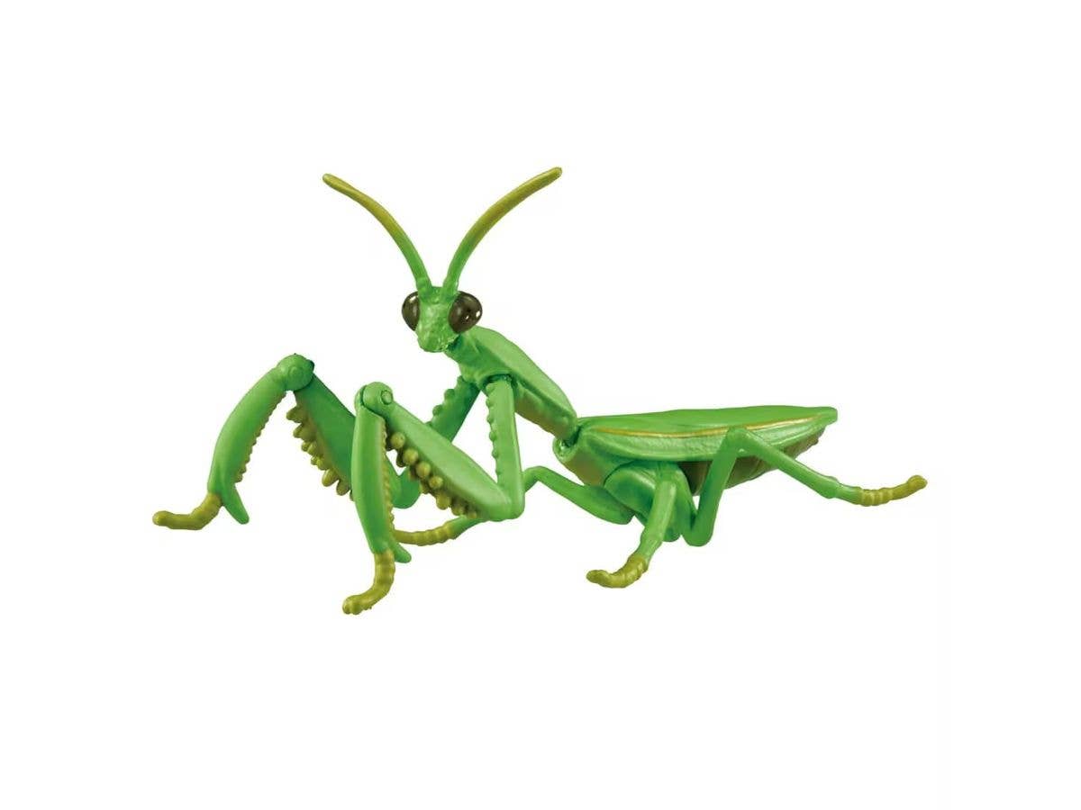 アニア AL-32 オオカマキリ