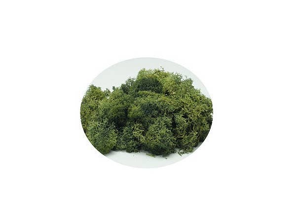 ライケン (グリーン)