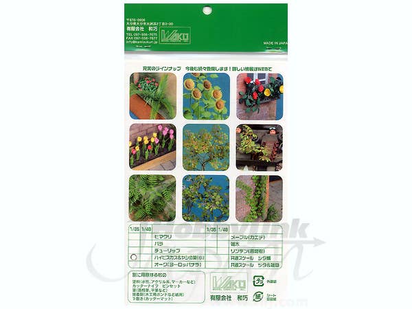 1/35 ハイビスカス