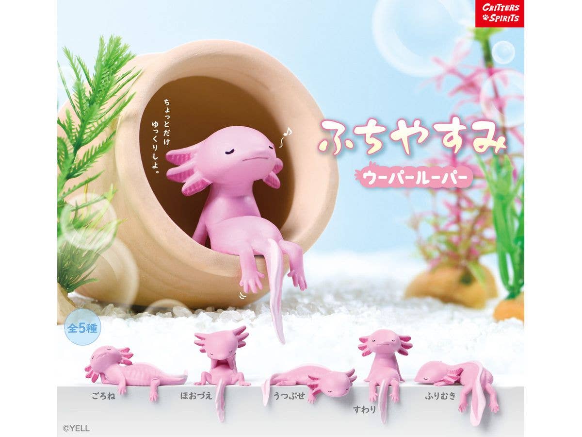 ふちやすみ ウーパールーパー 1Box 10pcs