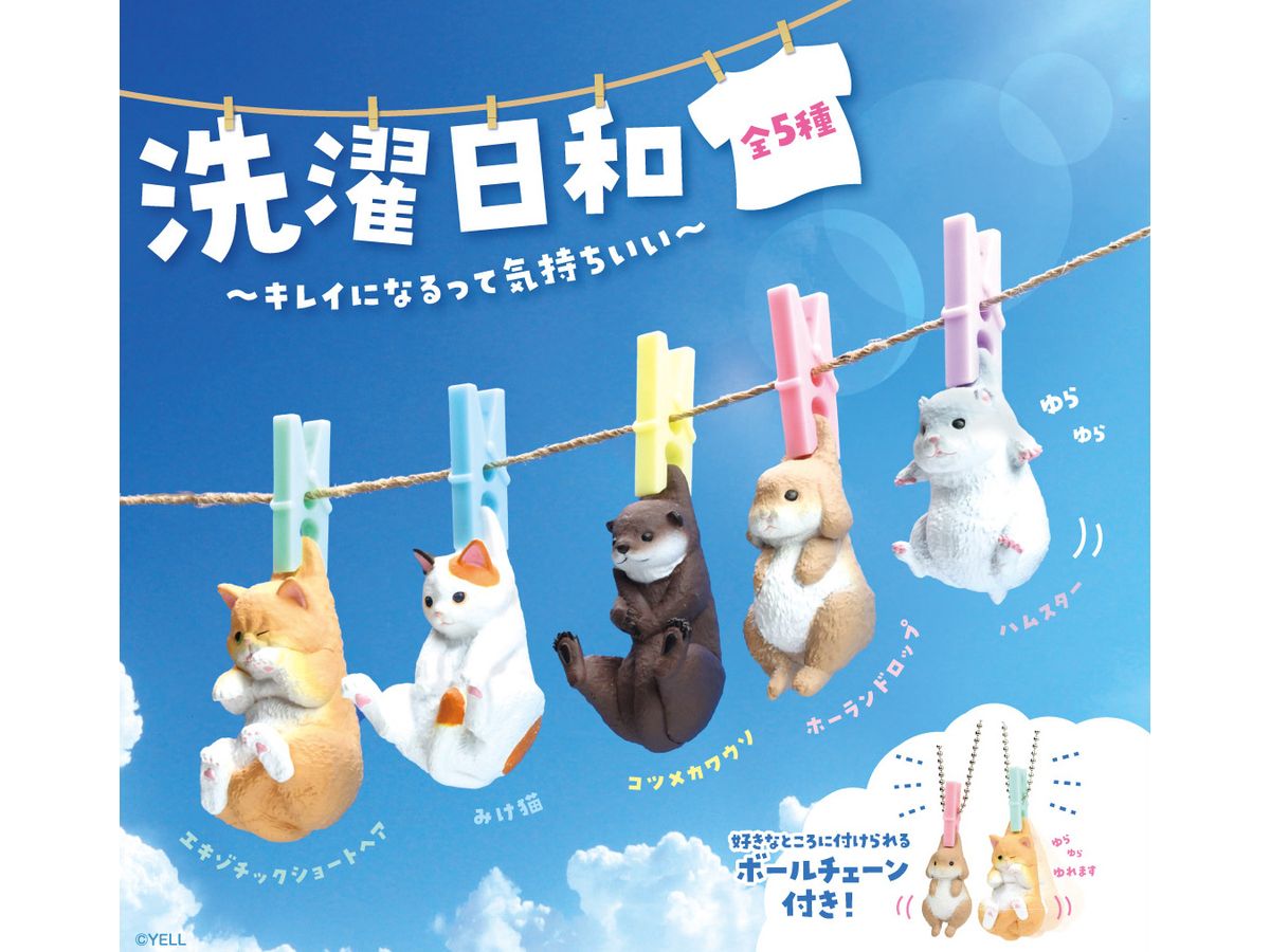 洗濯日和 -キレイになるって気持ちいい- 1Box 10pcs