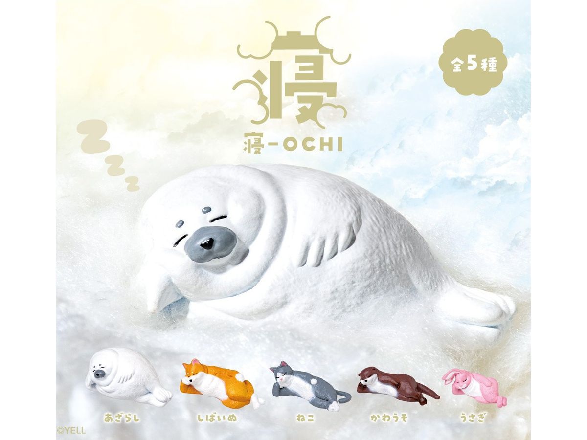 寝 -OCHI 1Box 10pcs