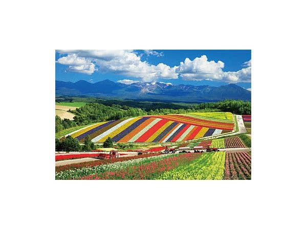 ジグソーパズル ムーミン 森の収穫 1000ピース (50 x 75cm) | HLJ.co.jp