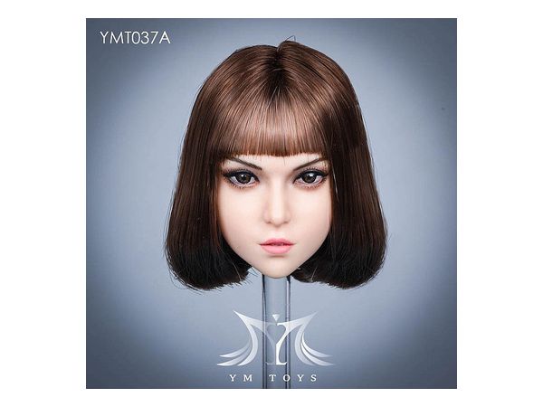 1/6 女性ヘッドA ブラウン